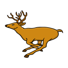 deer vector illustration