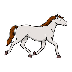 foal vector illustration