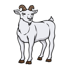 goat vector illustration