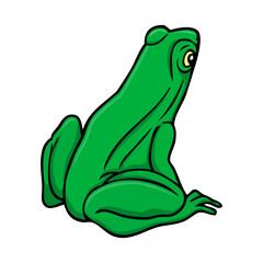 frog vector illustration