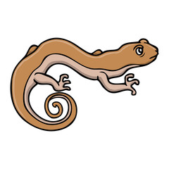 lizard vector illustration