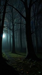 Fototapeta premium trees in the fog