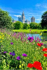 park in the near city