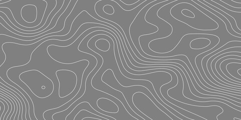 White paper wave curve relief geometric wave grid line background. . Abstract wavy topographic map and curved lines background. Vector illustration.