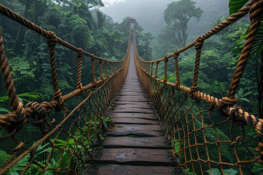 Fototapeta Rope bridge in the jungle,traveling and nature.