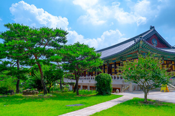 Tranquil Temple Amidst Nature: A Serene Landscape