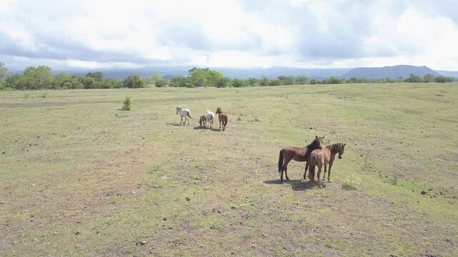 beautiful savana at doro ncanga geopark, bima west nusa tenggara indonesia. beautiful savana view with travel concept. drone view savana 