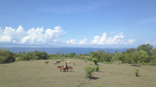 beautiful savana at doro ncanga geopark, bima west nusa tenggara indonesia. beautiful savana view with travel concept. drone view savana 
