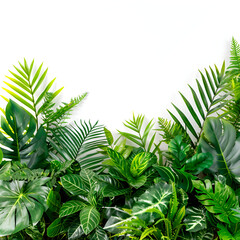 Green leafy potted plant on white background , a photo of Orange, isolated on white background,Green_leaves_of_tropical_plants_bush_floral_arrangement
