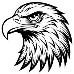  Eagle Head Vector Illustrations