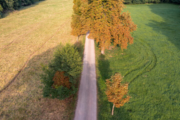 Das Selketal zwischen Meisdorf und Mägdesprung Naturlandschaft Selketalstieg