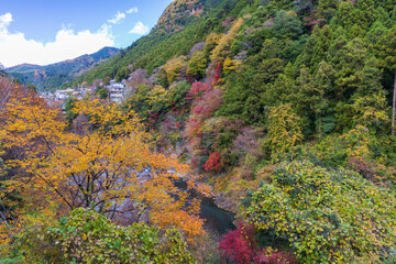 日本の風景・秋　東京都奥多摩町　紅葉の氷川渓谷