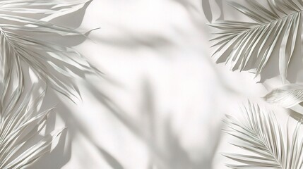 White Palm Leaf Shadows: An ethereal and minimalist backdrop with palm leaf shadows, offering a serene and elegant setting for product photography, branding, and design projects.