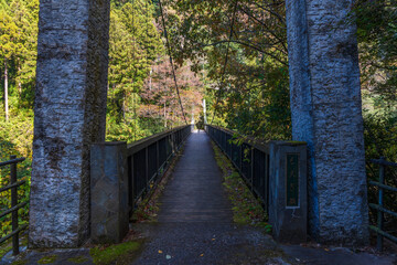 日本の風景・秋　東京都奥多摩町　紅葉の氷川渓谷