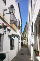 Fototapeta premium Old town flower narrow street of Cordoba, Spain. Festival of the Patios in Andalusia. Traditional white houses with flower pots