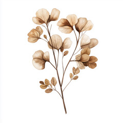 hand draw watercolor realistic bouquet fall flower, white background illustration, light brown and white, muted colors,fall colors flowers