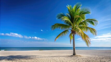 Fototapeta premium Palm tree standing tall on a sandy beach with clear blue skies in the background, Palm tree, beach, tropical, sand, summer