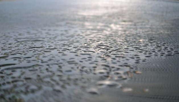 Nature's Symphony: Beautiful Rainfall Captured