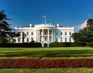 Naklejka premium white house