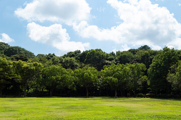 夏の浜松城公園