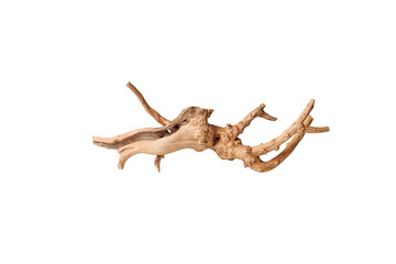 Old dry driftwood tree branch on an isolated white background close-up