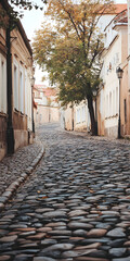 Historic City Street with Cobblestone and Vintage Lanterns