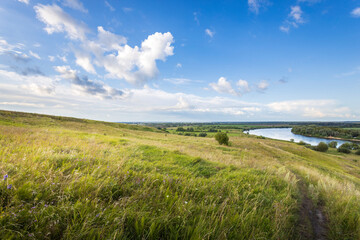 A vibrant green meadow stretches towards the horizon, where a gentle river winds under fluffy clouds reflecting midday sunlight.