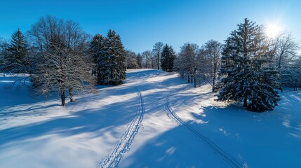 Obraz premium A Snowy Landscape Where Each Snowflake That Lands Generates A Delicate, Shimmering Sound