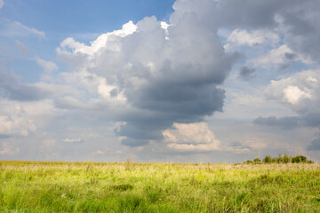 A field of grass with a large cloud in the sky