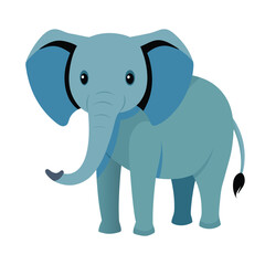 Elephant Against a White Background