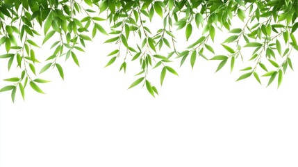 Obraz premium Green Leaves Border on White Background