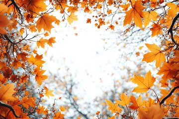 Atumn style wallpaper, white background with bright yellow decoration and large blank space in the center for text, Atumn patterns such as leaflets and mapple tree on both sides of the frame, mapple 