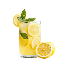 Refreshing Lemonade with Lemon Slices and Mint