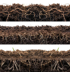 Collection of soil cut out with roots, isolated on transparent background. 