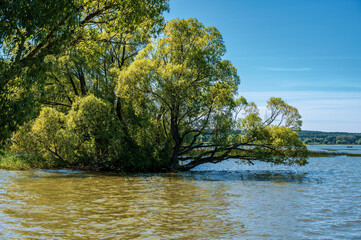 Sunny summer landscape with lake shore. Natural aerial background.
