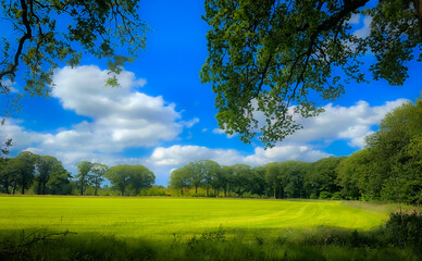 A serene and peaceful green field is bordered by lush trees beneath a vibrant blue sky filled with...