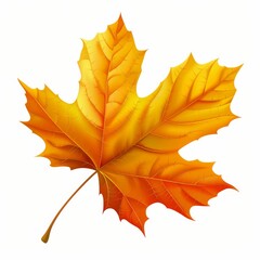 Obraz premium Single Orange and Yellow Maple Leaf Isolated on White