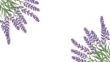 Lavender Flat Illustration with Branches in Corners