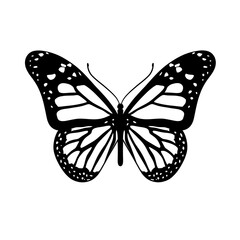 Butterfly Silhouette Vector Art Illustration