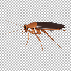 Insect 3D