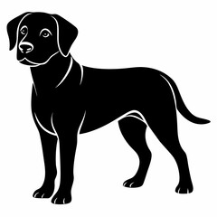 dog, animal, pet,vector svg