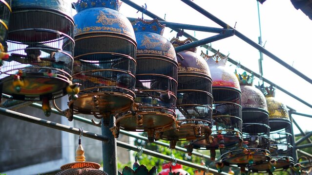 Traditional bird market portrait. Birds in cages on display on the street.