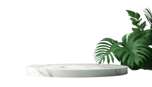 Ceramic podium with plant in transparent background with full depth