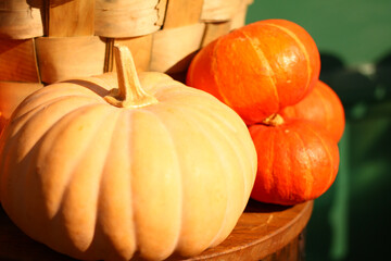 ripe pumpkin harvest on the table