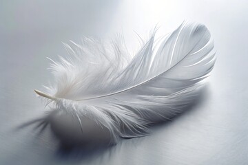 Obraz premium futuristic avant garde isolated white feather fragment against stark clinical white background with intriguing shadows
