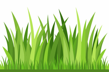 Lush Green Grass Blades in a Patch of Nature