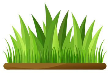 Lush Green Grass Patch with Brown Ground