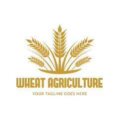 Fototapeta premium wheat / grain icon vector logo design template
