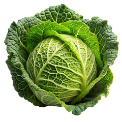 Fototapeta premium Cabbage PNG on White Background Ideal for Culinary and Agricultural Illustrations