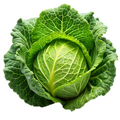 Obraz premium Cabbage PNG on White Background Ideal for Culinary and Agricultural Illustrations